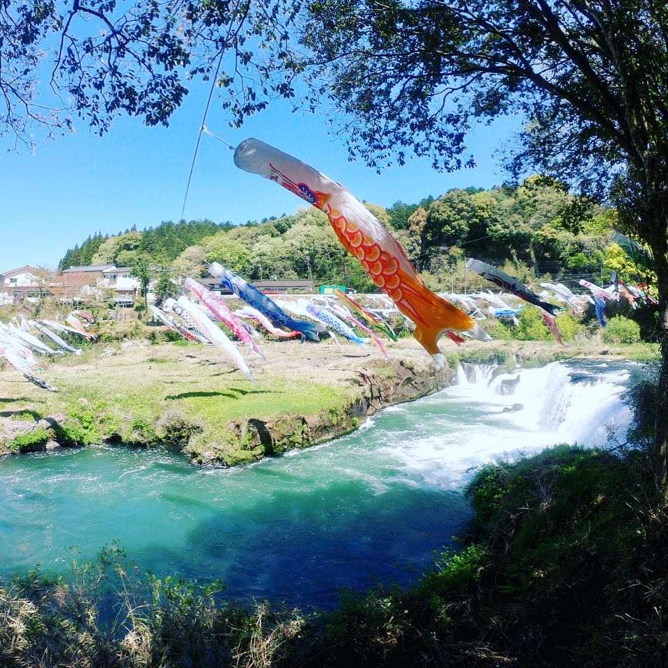 伊佐市_鯉のぼり_湯之尾滝