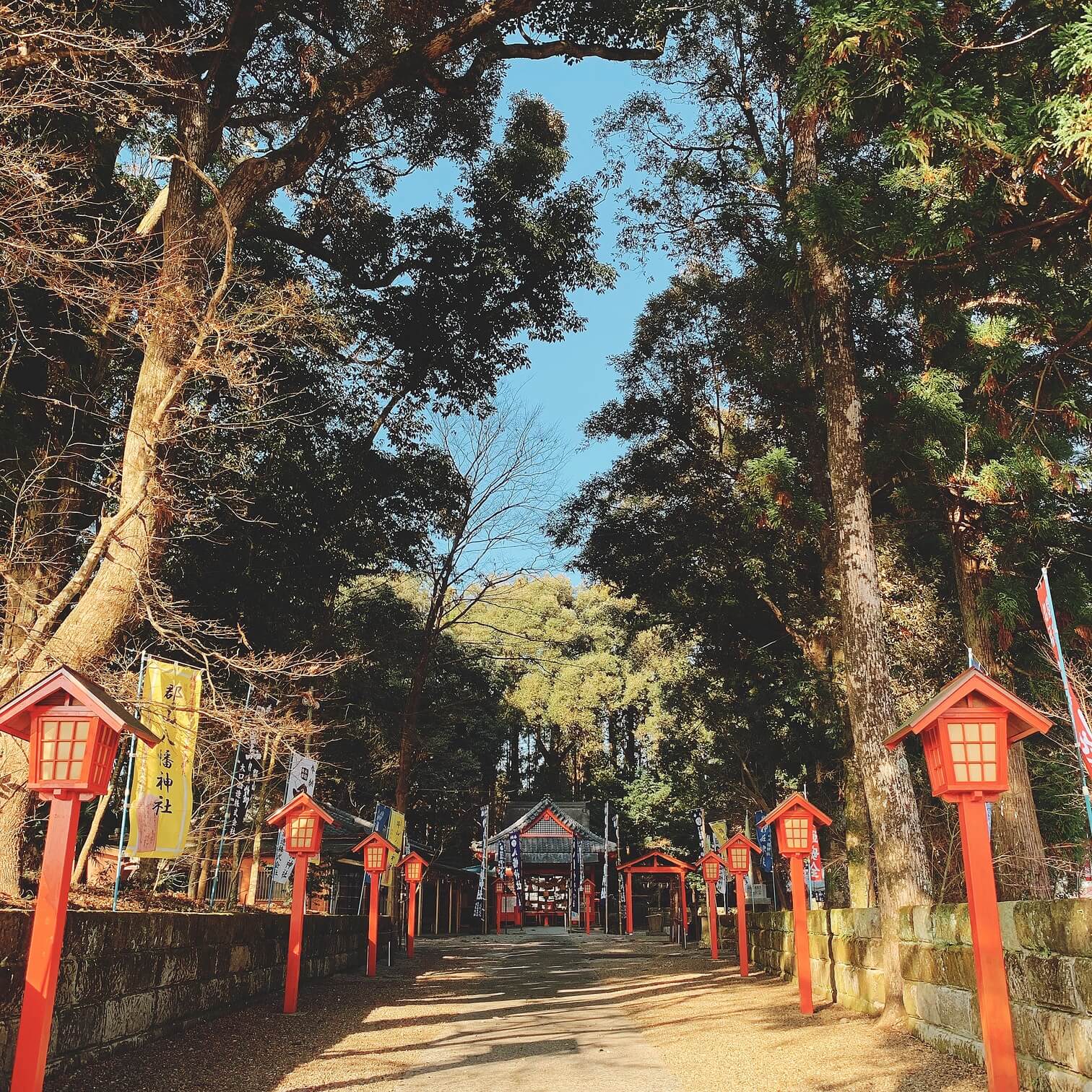 伊佐市_郡山八幡神社_外観