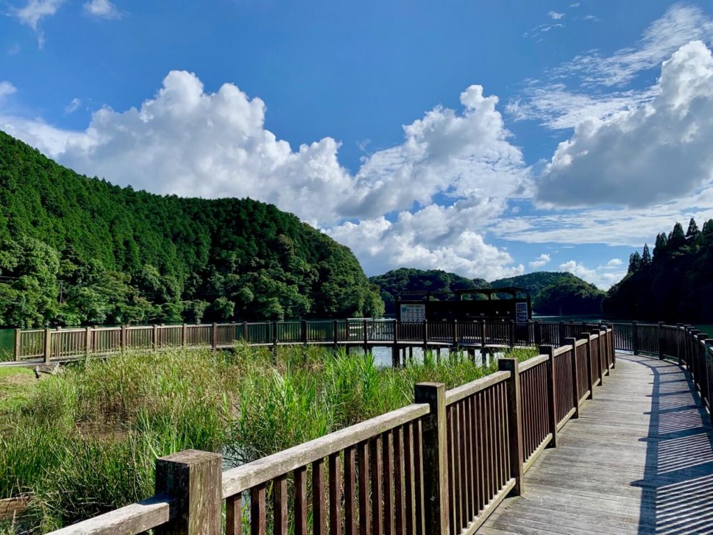 伊佐市_十曽青少年旅行村_水草庭園