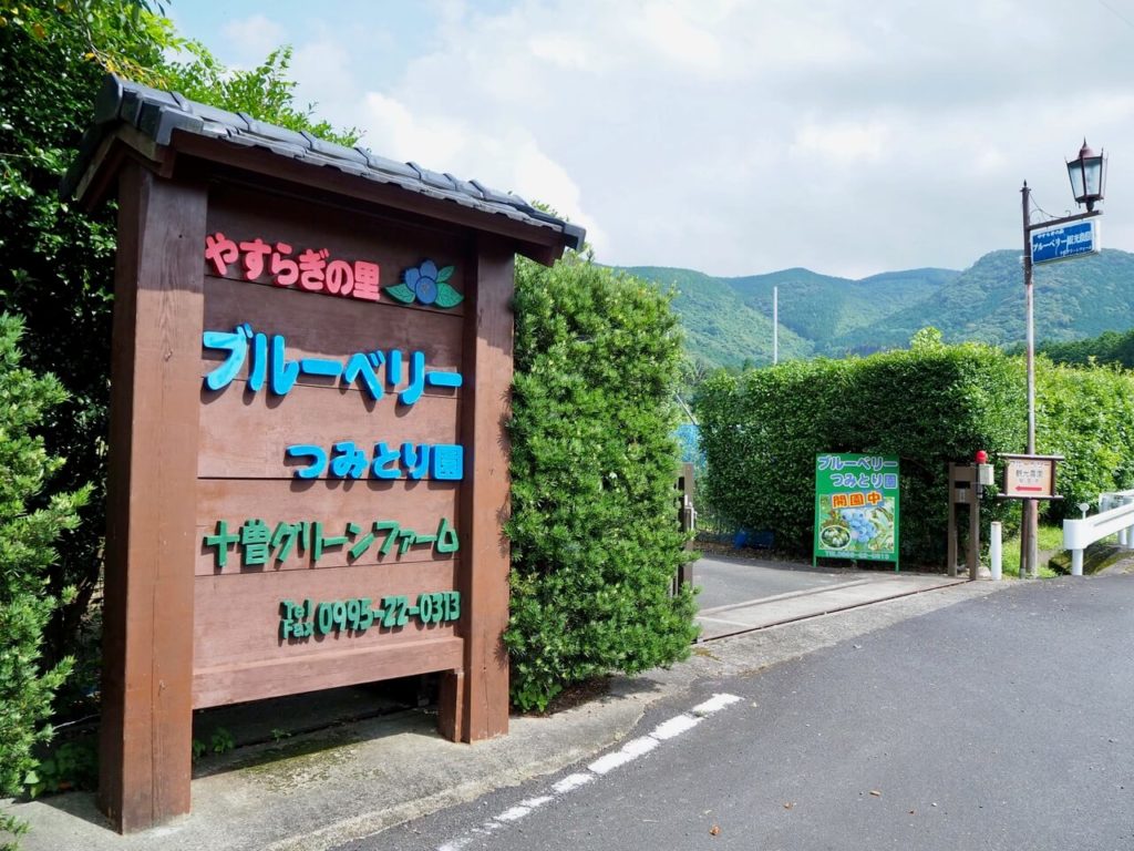 伊佐市_ブルーベリー観光農園_外観