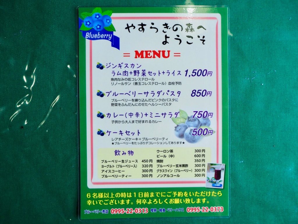 伊佐市_ブルーベリー観光農園_メニュー
