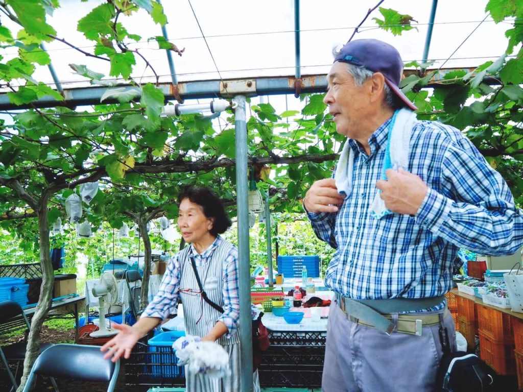 伊佐市 下小園ぶどう園 下小園ご夫婦
