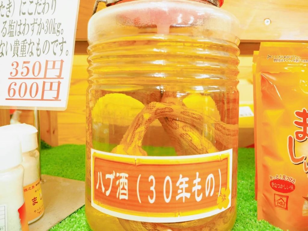 伊佐市　南国やまみどり