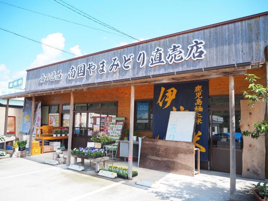 伊佐市　南国やまみどり