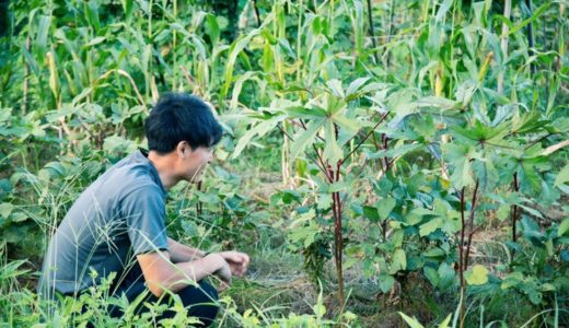 古民家のセルフリノベに失敗した話（番外編）– 野菜を作り、山菜を採り、魚を獲って食う。自給自足への挑戦！！–