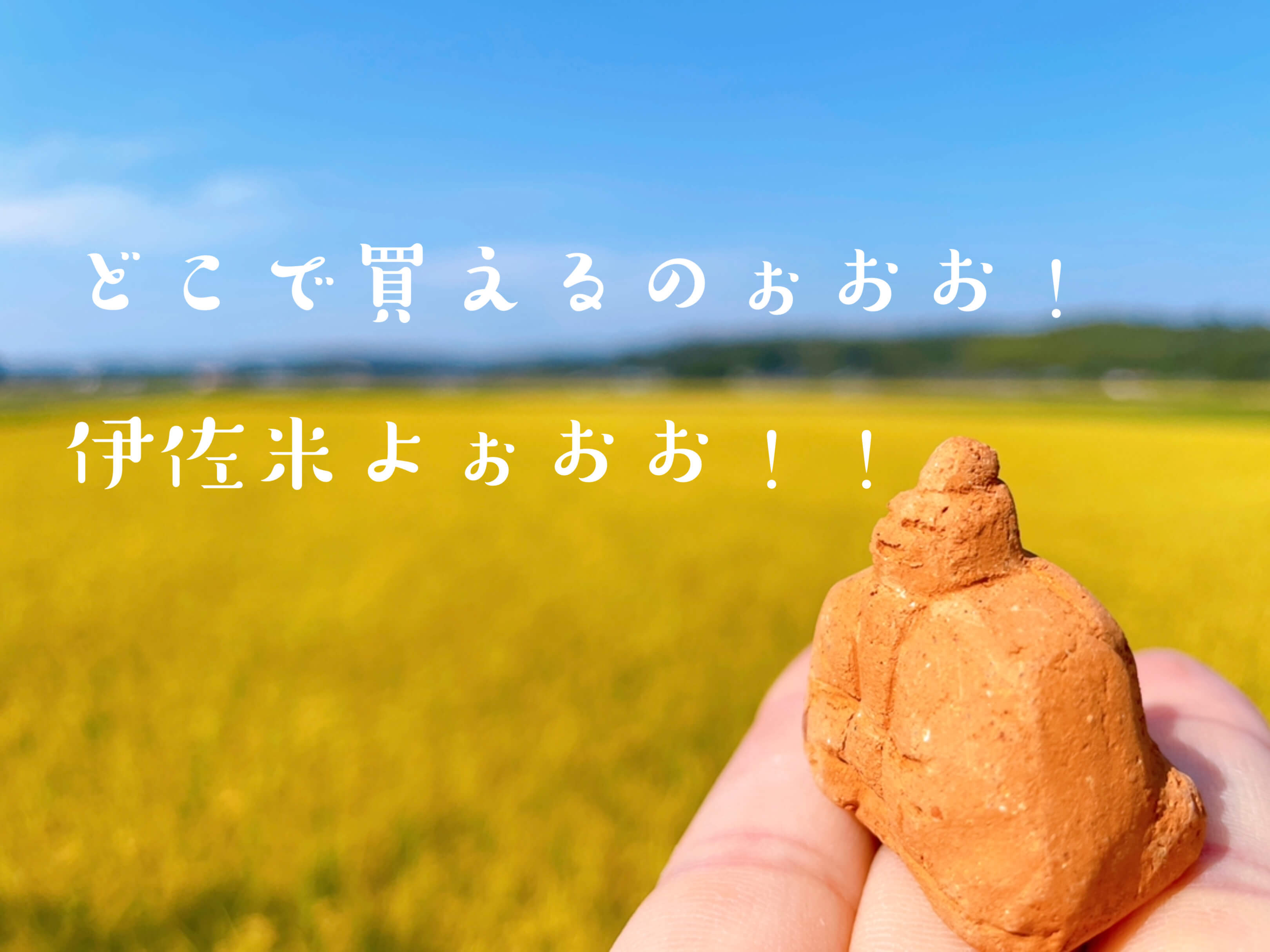 伊佐米はどこで買えるのか？表紙