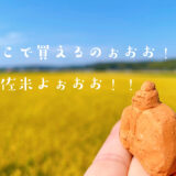 伊佐米はどこで買えるのか？表紙