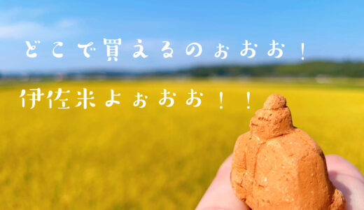 伊佐米はどこで買えるのか？表紙