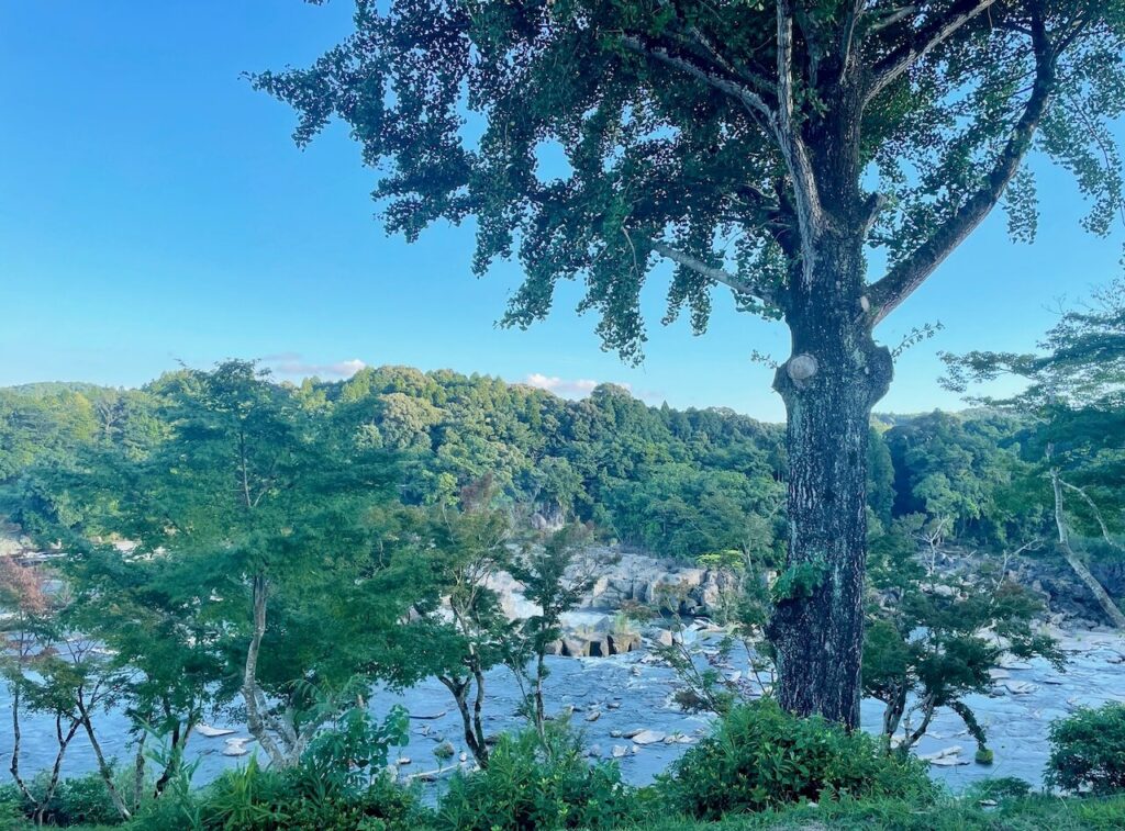 曽木の滝_ビアガーデン_野草庵ガーデン響_景色