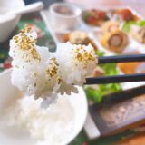 コンテナビレッジ268 伊佐米膳 伊佐米 金粉