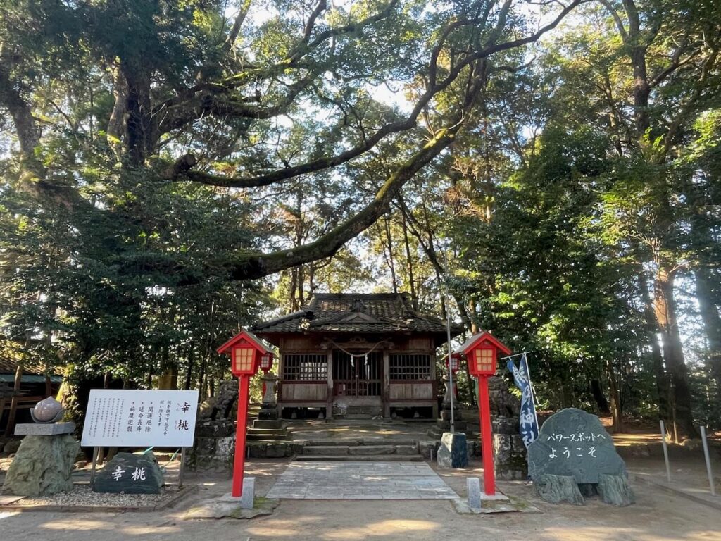 鹿児島県伊佐市_参拝_初詣_熊野神社