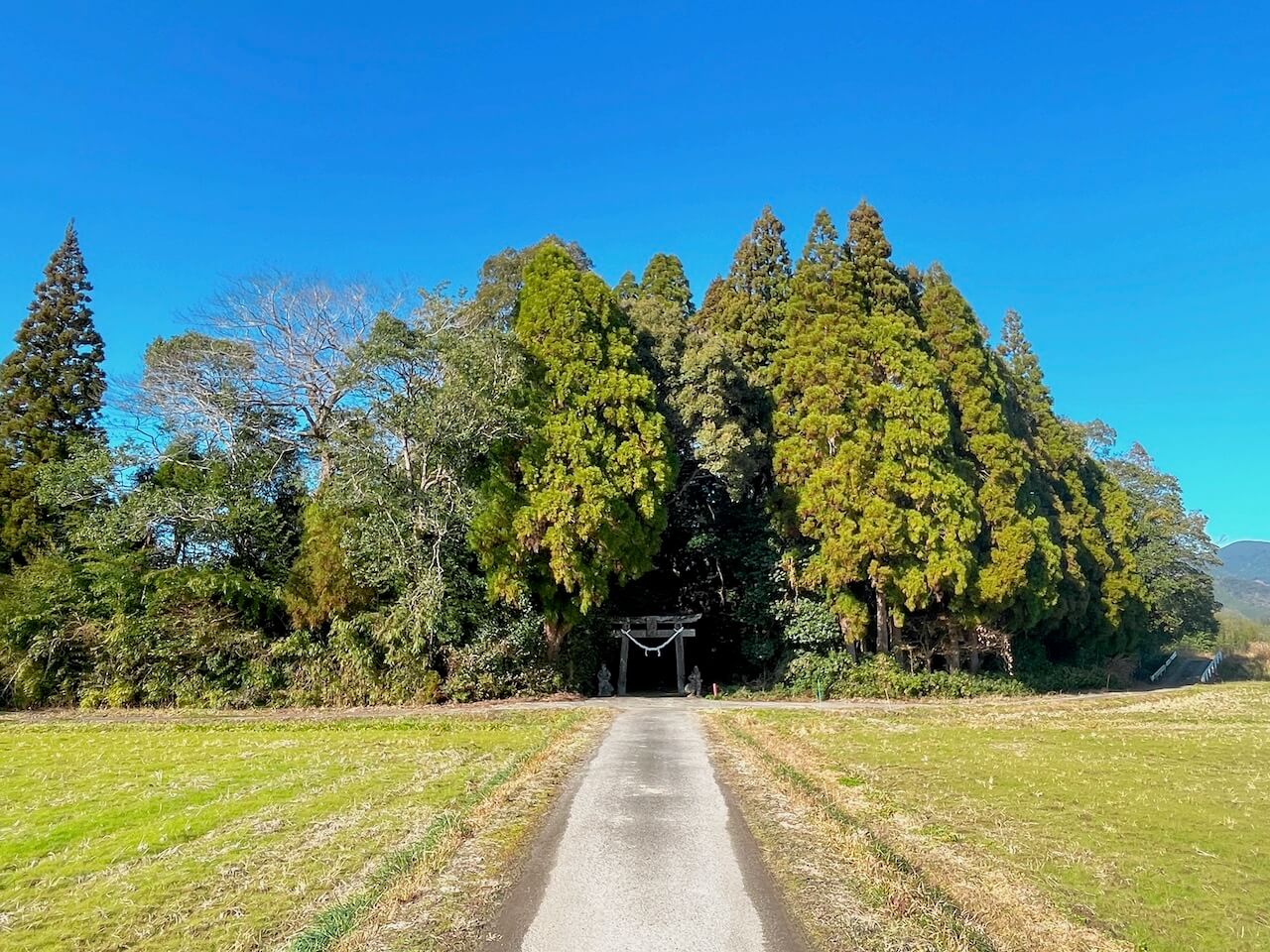 鹿児島県伊佐市_参拝_初詣_箱崎神社