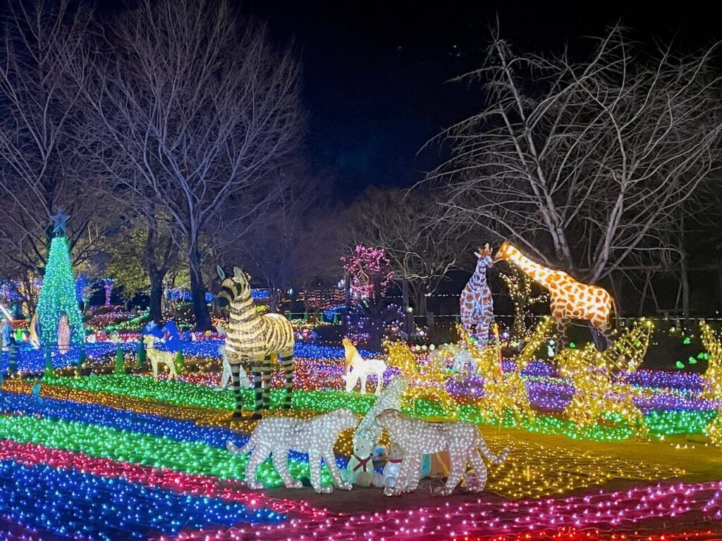 鹿児島県伊佐市　イルミネーション　曽木の滝公園　シマウマ　キリン