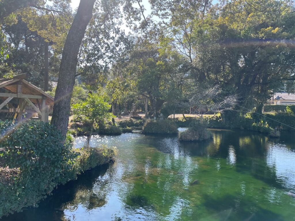 鹿児島県伊佐市_参拝_初詣_鳥神神社（止神神社）の池