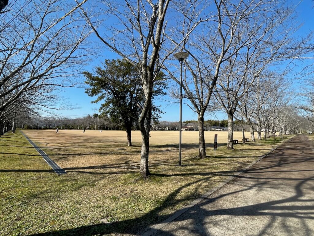 鹿児島県伊佐市_参拝_初詣_忠元公園