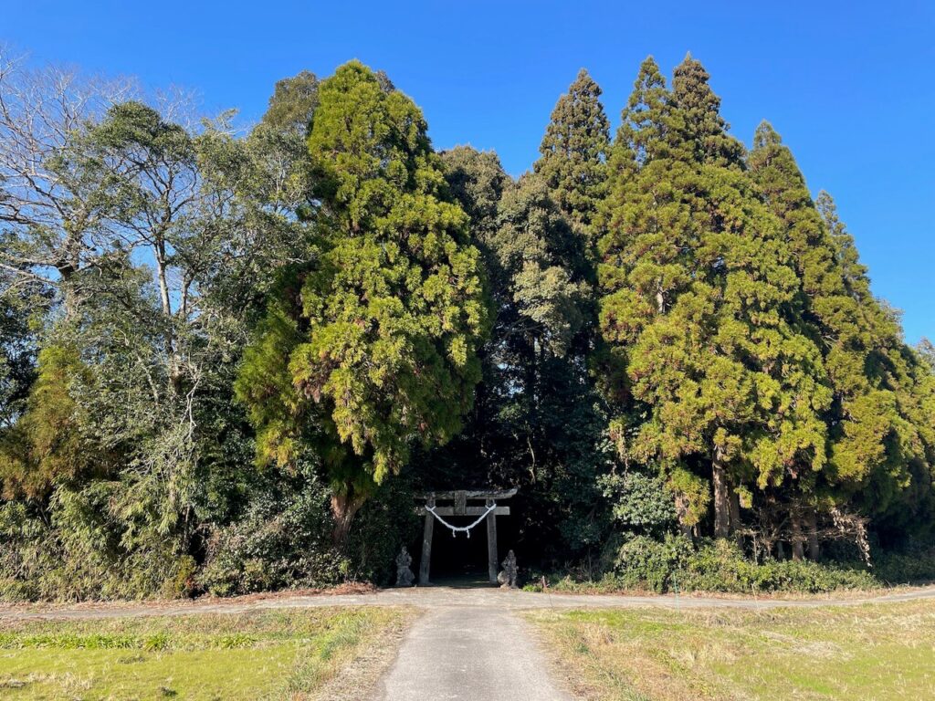 鹿児島県伊佐市_参拝_初詣_箱崎神社外観