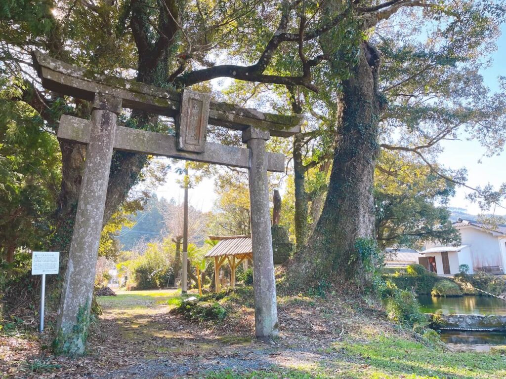 鹿児島県伊佐市_参拝_初詣_鳥神神社（止神神社）