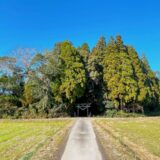 鹿児島県伊佐市_参拝_初詣_箱崎神社