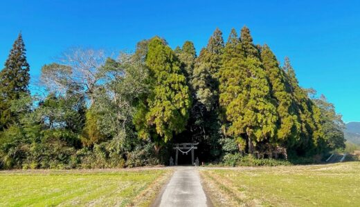 鹿児島県伊佐市_参拝_初詣_箱崎神社