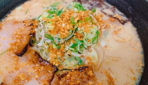鹿児島県伊佐市_ラーメン_麺 味どころ 夢源_にんにくラーメン