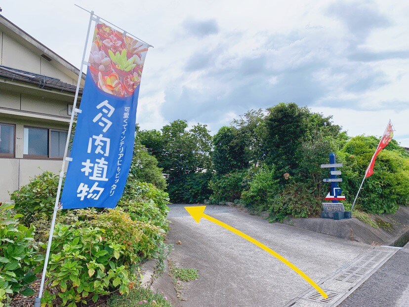 鹿児島県伊佐市_多肉植物_tani・taniプランター（たにたにぷらんたー）_行き方・アクセス方法