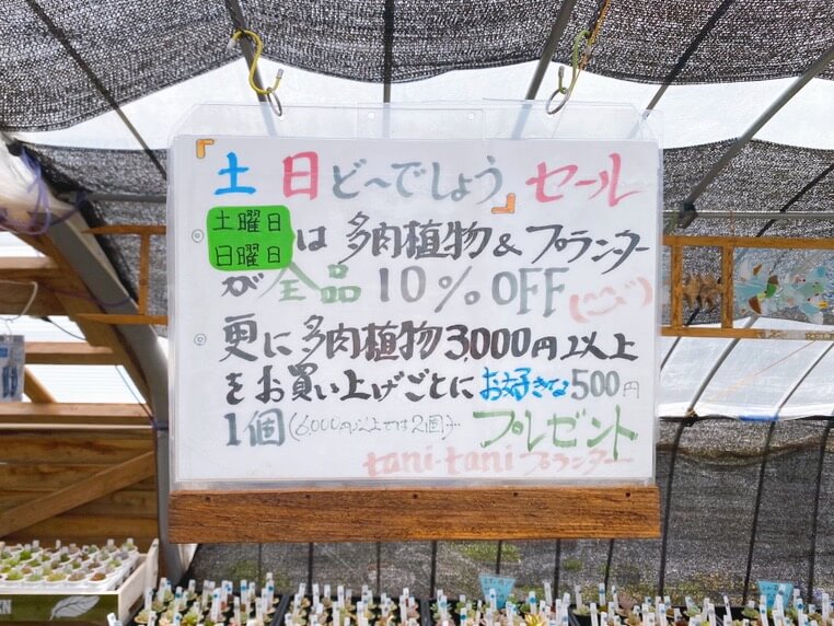 鹿児島県伊佐市_tani・taniプランター（たにたにぷらんたー）_多肉植物_お得な情報看板