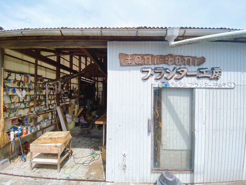 鹿児島県伊佐市_tani・taniプランター（たにたにぷらんたー）_多肉植物_工房