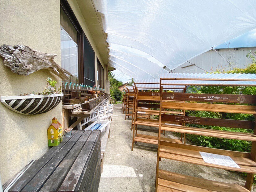 鹿児島県伊佐市_tani・taniプランター（たにたにぷらんたー）_多肉植物_プランター