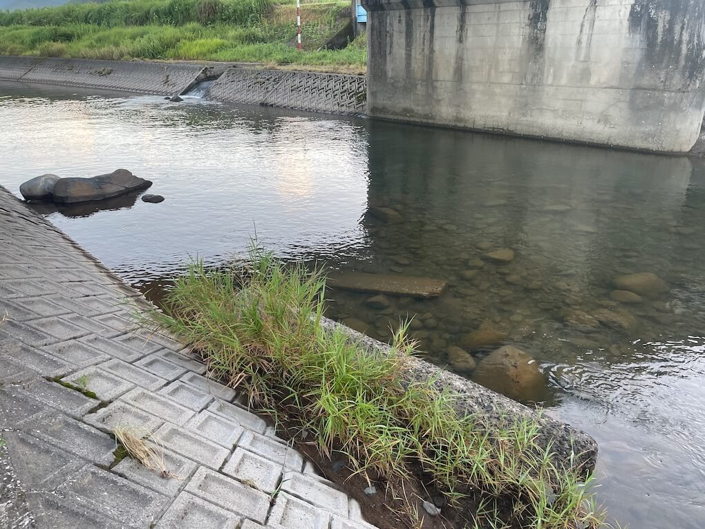 鹿児島県伊佐市_川内川支流_ウナギ獲り_山野川某所