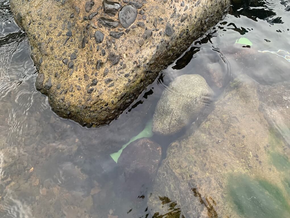鹿児島県伊佐市_川内川支流_ウナギ獲り_筒の仕掛け