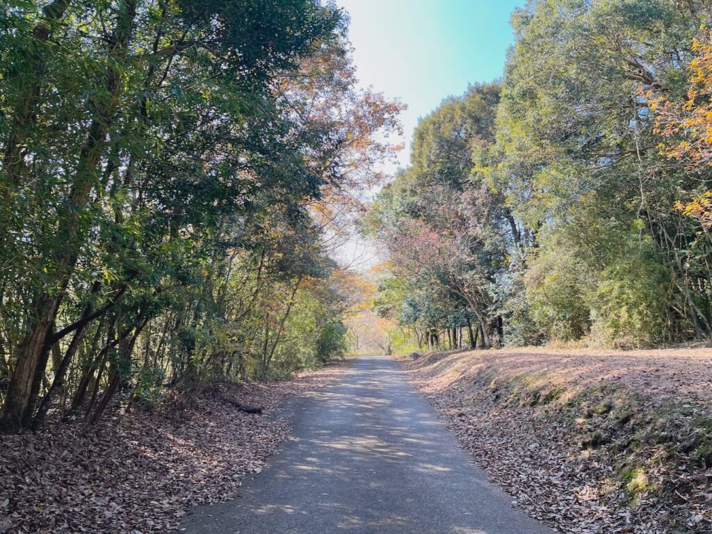 曽木発電所遺構_鶴田ダム大鶴湖遊覧船ツアー_乗船場所までの道