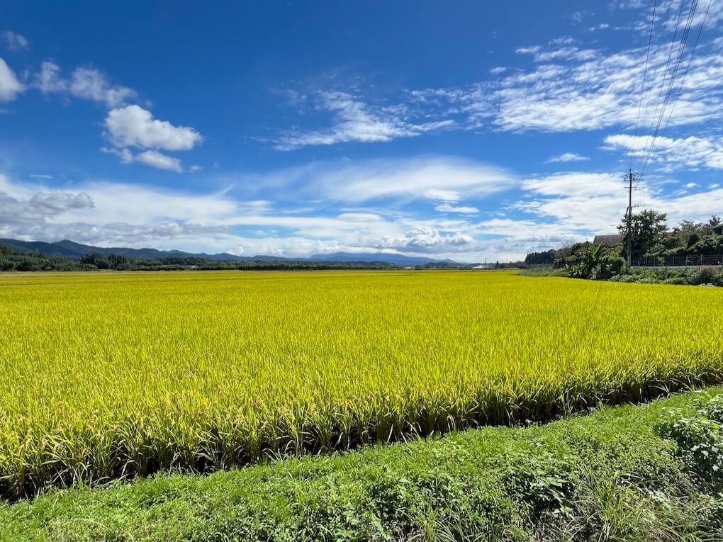 九州自然歩道_鹿児島県伊佐市_渕辺_田園風景