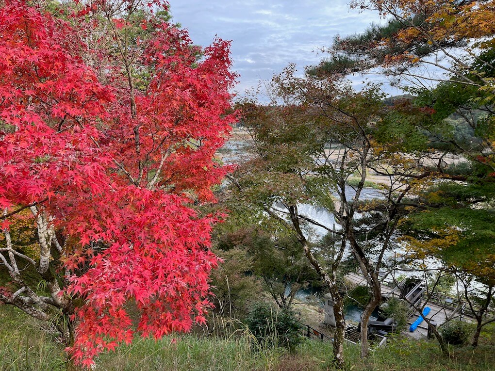 九州自然歩道_鹿児島県伊佐市_曽木の滝紅葉
